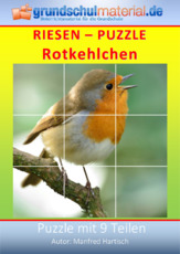 Riesenpuzzle_Rotkehlchen_2.pdf